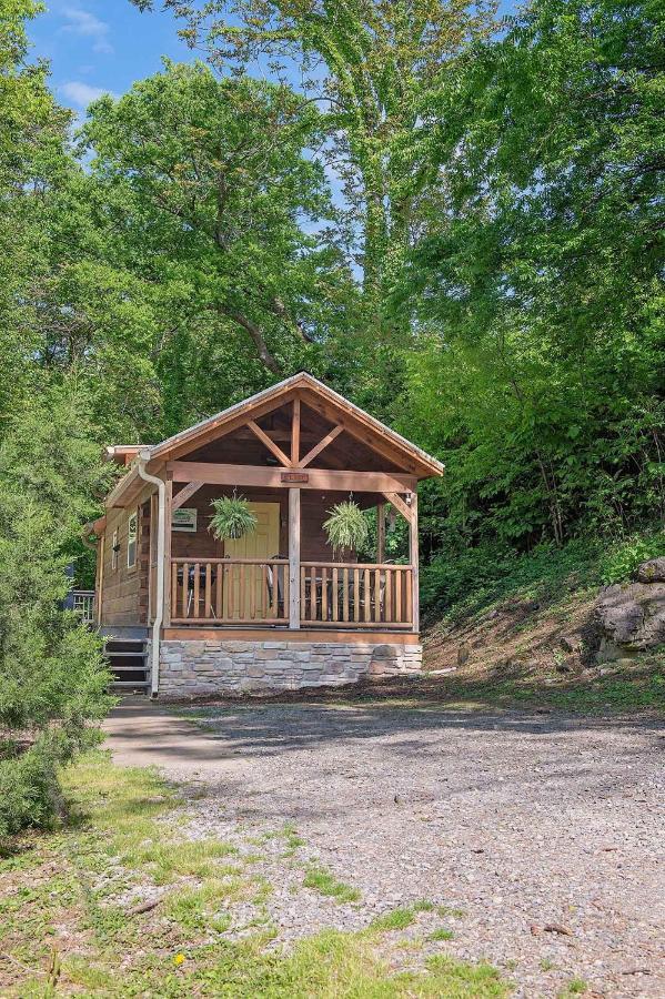 Elise Cabin Forest Retreat 5 Mins To Downtown Chattanooga Eksteriør billede